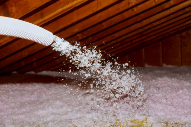 Best Insulation Removal Services  in Mathis, TX